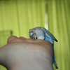 Img_2781_1