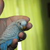 Img_2782_1