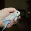 Img_2790_1