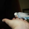 Img_2792_1