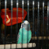 7257_web