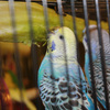 6540_web