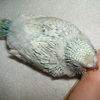 072