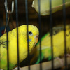 6535_web