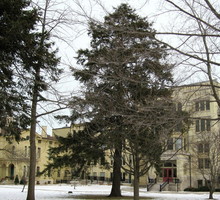 Square