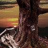 Thelovetree