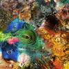 Chameleon_big