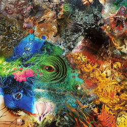 Chameleon_big