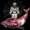 Whale