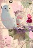Thepinkowl