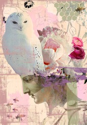 Thepinkowl