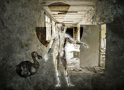 Human_caos