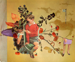 Flowers_17
