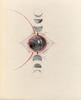 4548809226_47bf9efd5a_o