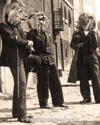 Dandy-lions