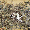 Number1a_markschaer_2009