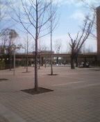 040326_1306~01.jpg