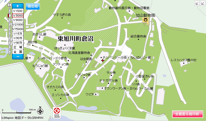 �ޥԥ��󡡰���ưʪ��
