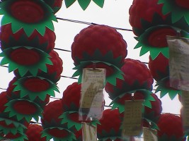 我が家の寄進提灯 我が家の寄進提灯