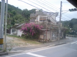 本部半島の民家屋根 本部半島の民家屋根