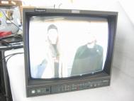 Ikegami TM20-20RH 20