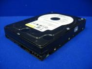 Western Digital RE2 Internal 500GB Hard Drive WD5000YS