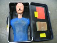 Ambu Chris Clean Sanitary CPR Manikin AA-6001