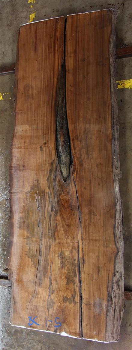 Buried Cypress Slab BC001-05