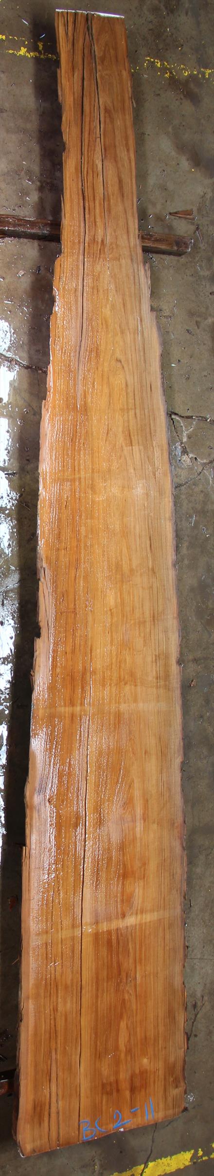 Buried Cypress Slab BC002-11