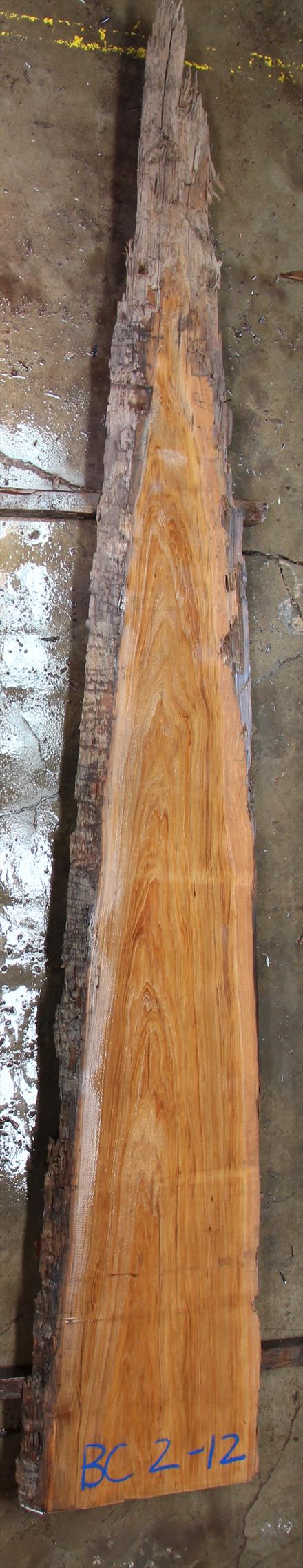 Buried Cypress Slab BC002-12