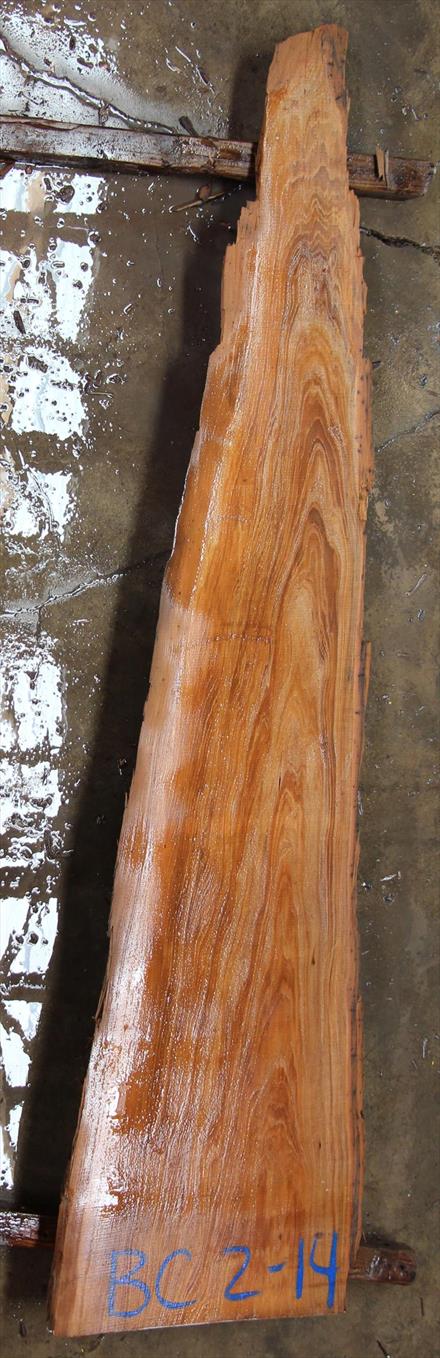 Buried Cypress Slab BC002-14