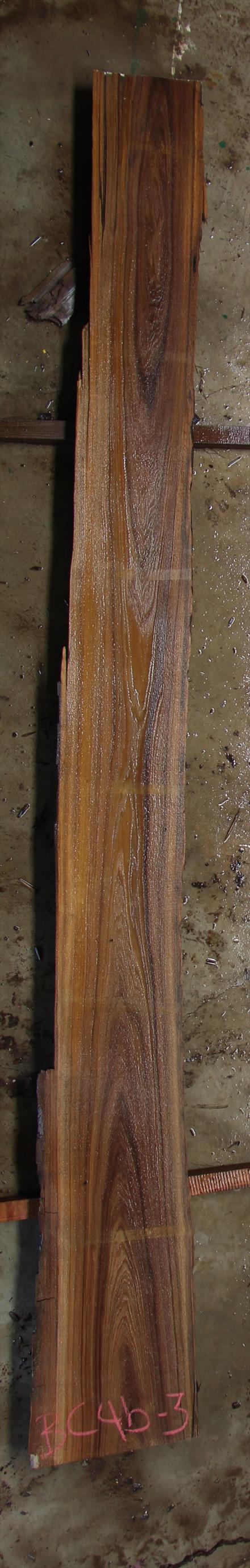 Buried Cypress Slab BC004b-03