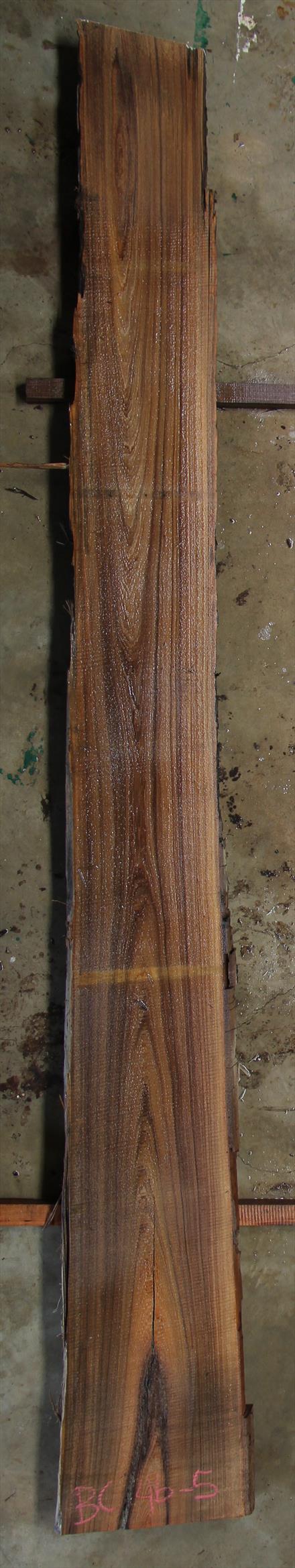 Buried Cypress Slab BC004b-05
