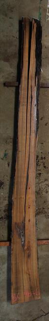 Buried Cypress Slab BC004b-06