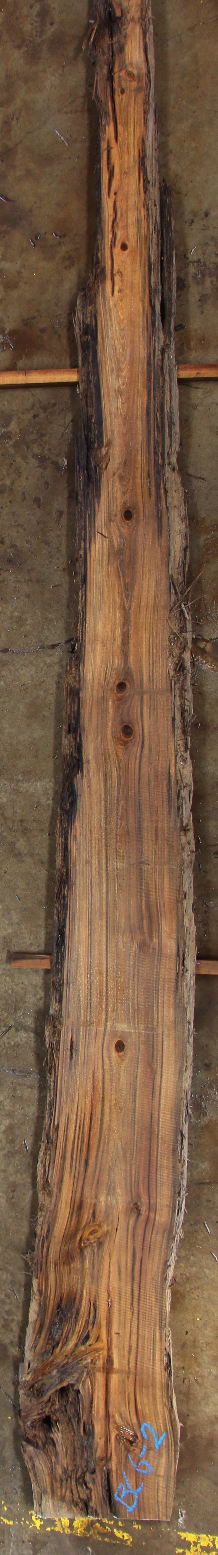 Buried Cypress Slab BC006-02
