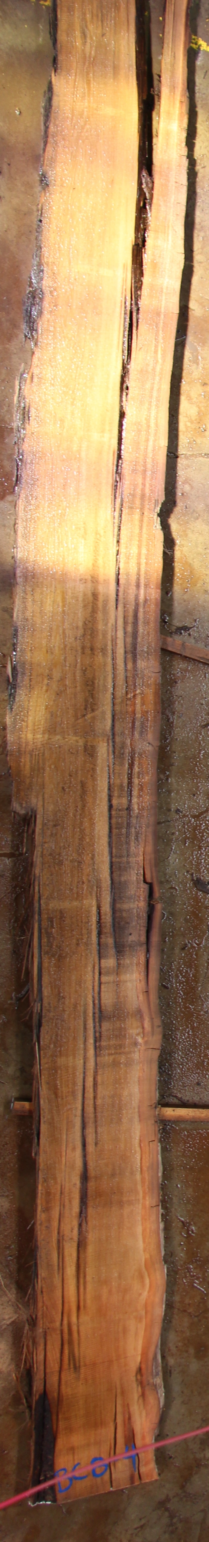 Buried Cypress Slab BC008-04