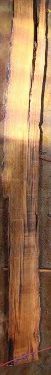 Buried Cypress Slab BC008-04