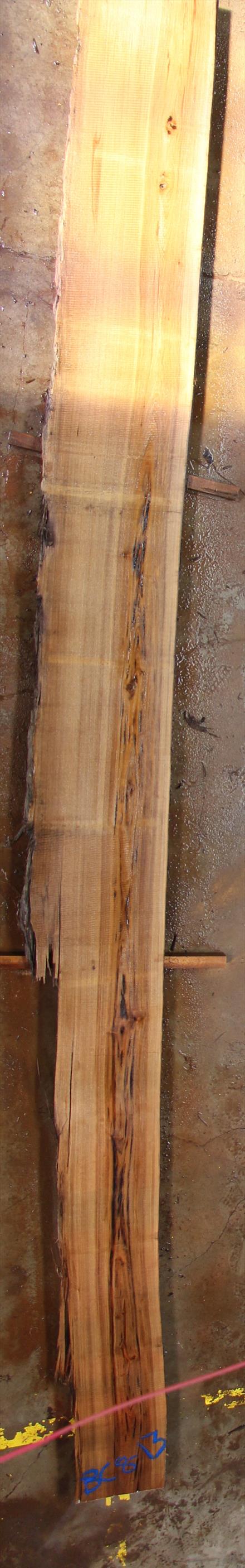 Buried Cypress Slab BC008-13