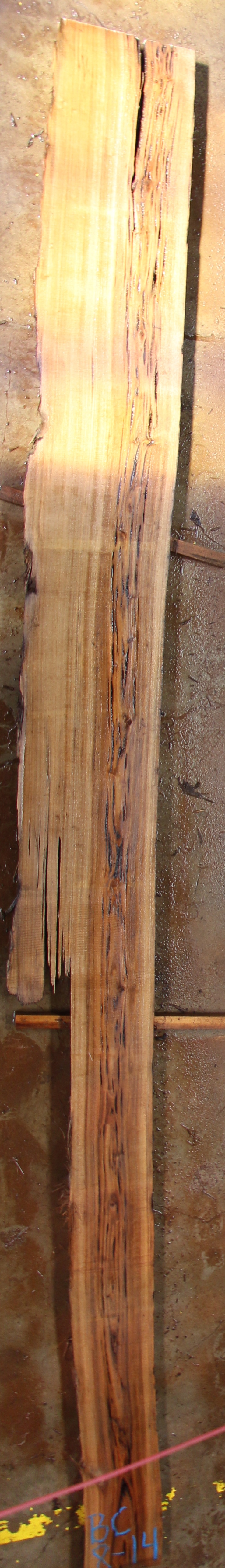 Buried Cypress Slab BC008-14