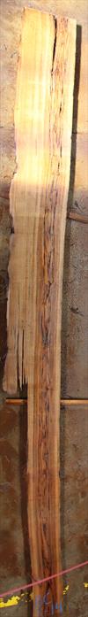 Buried Cypress Slab BC008-14