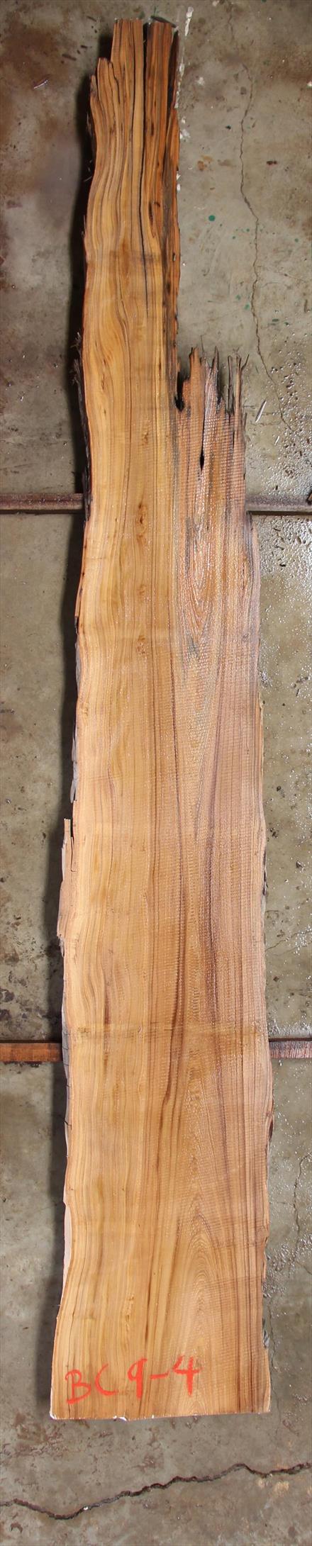 Buried Cypress Slab BC009-04