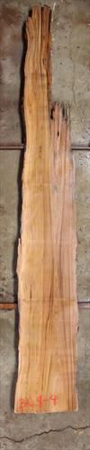 Buried Cypress Slab BC009-04