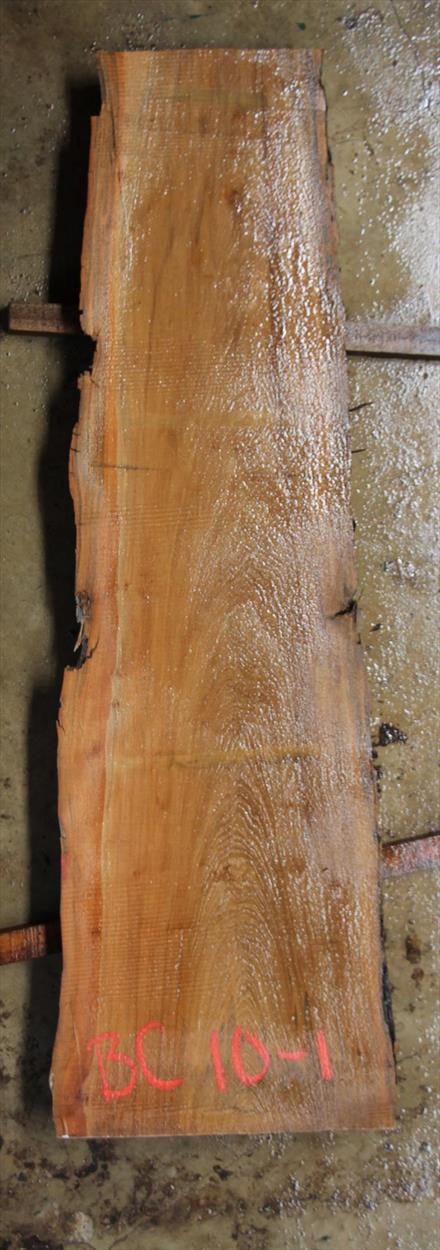 Buried Cypress Slab BC010-01