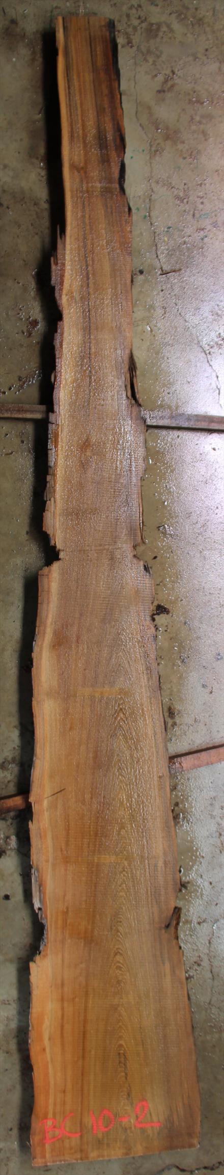 Buried Cypress Slab BC010-02