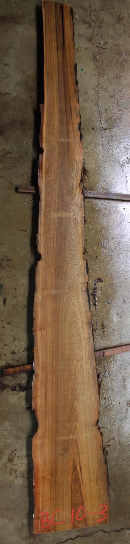 Buried Cypress Slab BC010-03