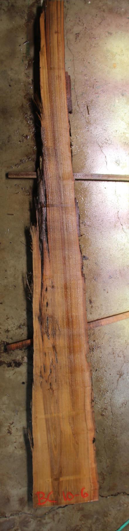 Buried Cypress Slab BC010-06