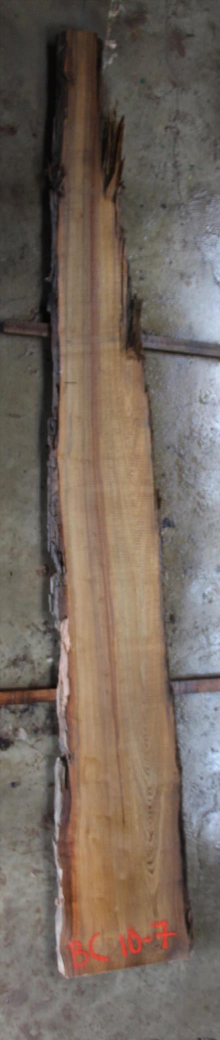Buried Cypress Slab BC010-07