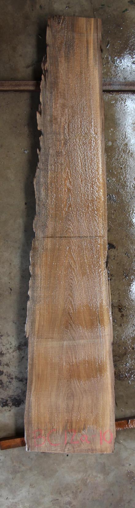 Buried Cypress Slab BC012a-10