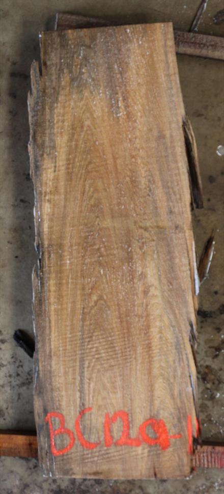 Buried Cypress Slab BC012a-11