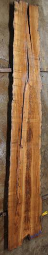Buried Cypress Slab BC014-08